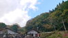 「紅葉（＾∇＾）」