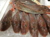「魚魚市場鮮魚コーナーおすすめは「イサキ・アマダイ」です♪」