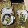 舞鶴産 岩牡蠣