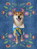 「Dog salon mofu mofu　余市町」