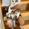 白キジの『ミミ』♪