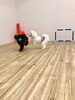 じゃれっこ中「ましゅまろ幼稚園」