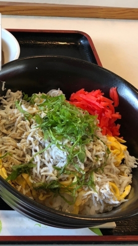 「白子丼」