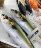 「西海物産館魚魚市場鮮魚コーナーおすすめ商品は「特売！伊勢海老」です♪」