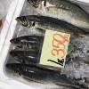 「魚魚市場鮮魚コーナーおすすめは「ワタリガニ」です♪」