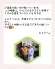 ごあいさつ「【7/7(月)~7/11(金)のお献立🎋】」
