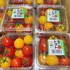 「今年も出荷が始まりました！！ 岩手県奥州市江刺地区産 JA江刺　「ミニトマト(ミックス)」」