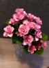 「紫陽花」