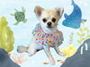 「Dog salon mofu mofu　余市町」