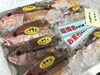 「魚魚市場鮮魚コーナーおすすめは「イトヒキダイ」です♪」
