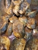大人気｢さば味噌｣「登場！！ジンギスカン唐揚げ」