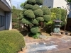 作業後「草刈り草むしり」