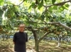 山口農園
