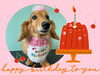 「Dog salon mofu mofu　余市町」