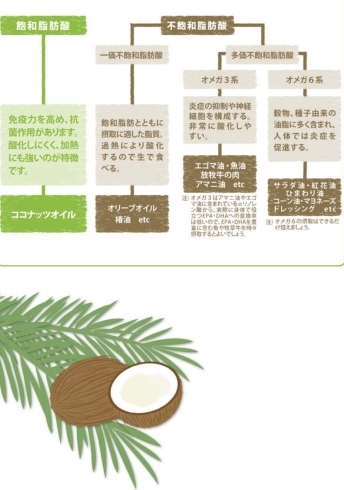 ココナッツオイルの特徴「サロンで使用するココナッツオイル【メディカルアロマ　シロダーラ　ビーワン　波動調整　ココナッツオイル】」