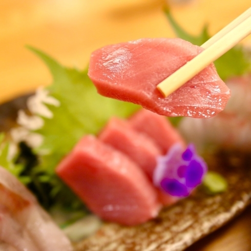 高崎駅近く 元気で温かい居酒屋さん 海鮮市場からっ風 さまに取材行ってきました まいぷれ高崎編集部のニュース まいぷれ 高崎市 高崎駅近く 元気で温かい居酒屋さん 海鮮市場からっ風 さまに取材行ってきました まいぷれ高崎編集部のニュース まいぷれ 高崎市