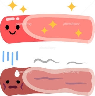 血液ドロドロ、血管が硬くなっては危険です！！「髪の毛、爪、骨、血管を丈夫にして、デトックスも出来るアレ！！」