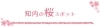 2023年　知内　桜・花見スポット