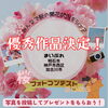【優秀作品発表！】まいぷれ明石市・神戸市西区・加古川市の「桜フォトコンテスト2026」