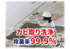 カビ取りや防カビ施工お任せください！「家にいる時だけ咳や鼻炎、アレルギー症状が出るのはアレが原因かも・・・」