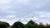 「バルーンリリース🎈　【静岡市　バルーンギフト　風船　記念日　お祝い】」