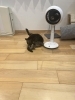【猫と相性が良い間取りってあるの？】「【猫と相性が良い間取りってあるの？】」