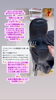 「漆黒艶美髪様✨」