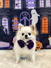 ノアちゃん「Happy Halloween 2026🎃」