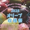 【オリーブ収穫祭】 吉海町オリーブ園で味わう搾りたての特別な香りと自然の恵み体感（愛媛/今治市）