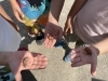 「夏の生き物や自然と触れ合いながら元気いっぱい活動中☆彡」