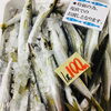 「魚魚市場鮮魚コーナーは「トビウオ・カマス・アジ」です♪」