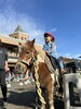 ポニーのチロル「【１日動物園】」