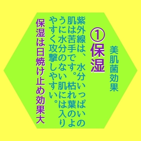 皮膚常在菌「「トラブル肌でお悩みの方、美肌菌ってご存知ですか？」黒部 山内美容室 40代からきれいをみつけるお店」