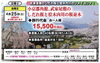 しだれ桜・ソメイヨシノ豪華共演！「まだ間に合います！🌸お花見バスツアー🚌【村上・胎内・新発田発のツアー】」
