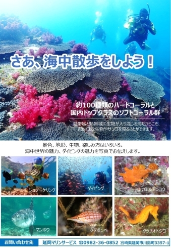 「【九州電力　宮崎支店】夏・夏・夏　みんなでつくる海の写真展」