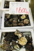 「西海物産館　魚魚市場鮮魚コーナーおすすめ商品は「天然ぶり・サザエ」です♪」