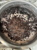 今年初の黒大豆のお味噌作り「今年は２種類！！」