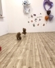 追いかけっこ中〜　^o^ 飛んでます「ましゅまろ幼稚園　^ - ^」