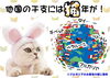 世界には猫年が！「②―６　2023年（令和5年）癸卯を改めて振り返る！　干支の動物の意味は？　あまり知られていない干支にあてがわれた動物の意味と真実を解き明かす！　【星祭】厄除け・厄払い　～運気向上のお祈り～」