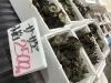 「魚魚市場鮮魚コーナーおすすめは「ビンチョウマグロ」です♪」