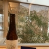 美ビール