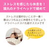 「春になり頭皮がガチガチの方が急増中！ストレスが溜まりやすい春はドライヘッドスパがオススメ（=^ェ^=) 整体・オイル・リーディング・占い・顔そり・氣功」