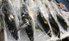 「魚魚市場鮮魚コーナーおすすめは「マグロ・天然ぶり・天然ヒラス」です♪」