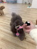 リリーちゃん　私とひっぱりっこ「ましゅまろ幼稚園🐾パート２」