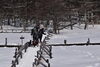「入笠湿原約10㎝の新雪が降りました（雪山登山）」