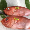 「魚魚市場おすすめ商品は「アマダイ」です♪」