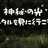 【磯子区☆ホタル観賞】神秘の光！ホタルを見にいこう