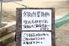 「砂田園芸の朝採れいちごと季節の苗たち—地域に寄り添うあたたかな園芸店」