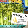 「地元産『夏野菜』入荷します！道の駅木曽福島」