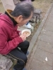 お参り後は腹ごしらえ「初詣」